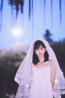 铁梨花下载